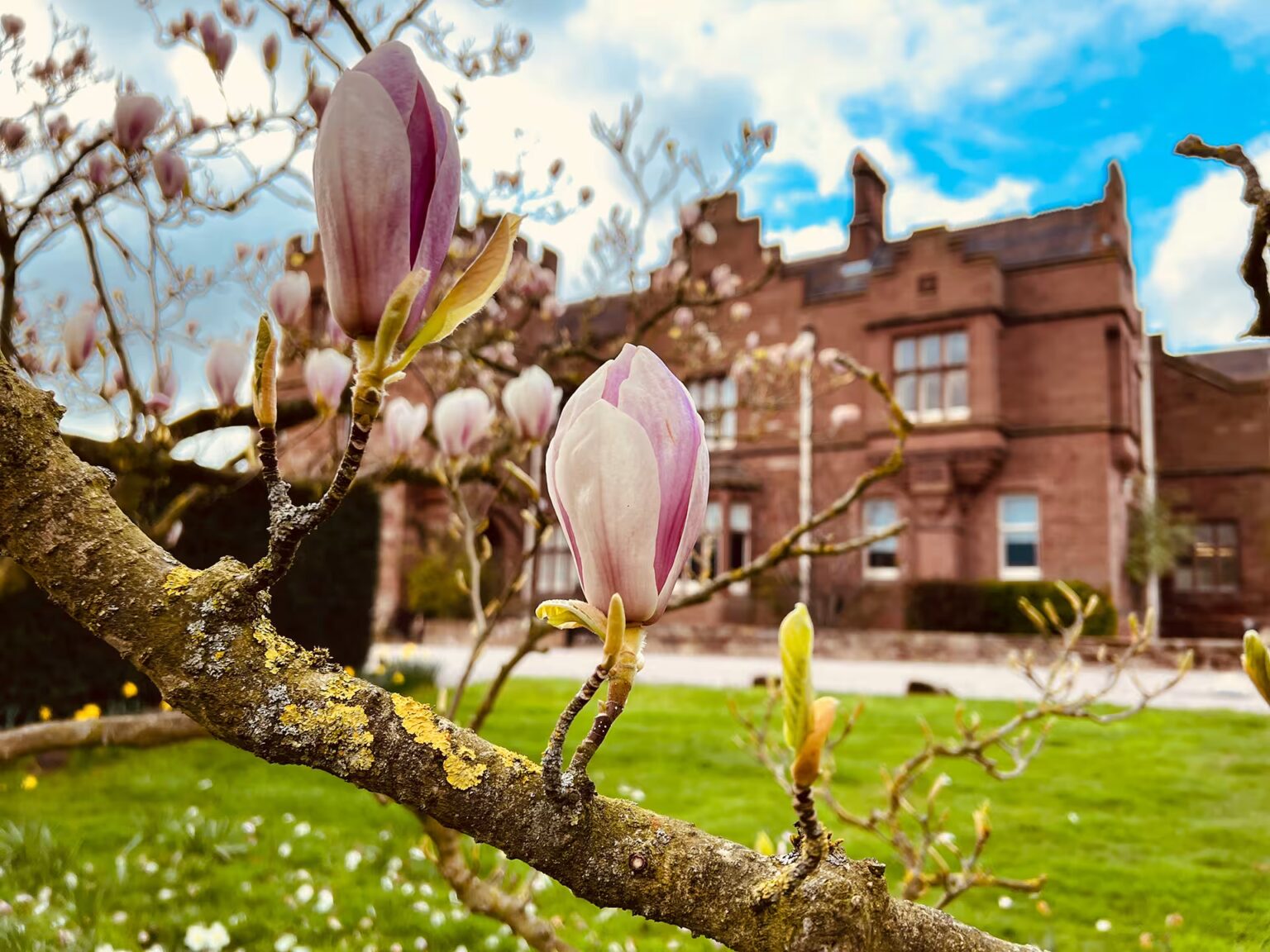 Saighton Grange seen through the Abbey Gate College gardens