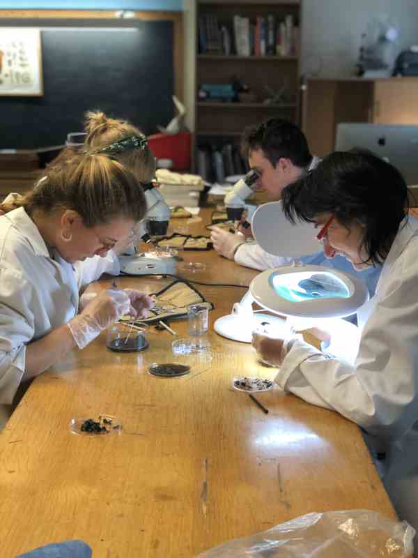 Older Acorn School pupils using microscopes in a science lesson