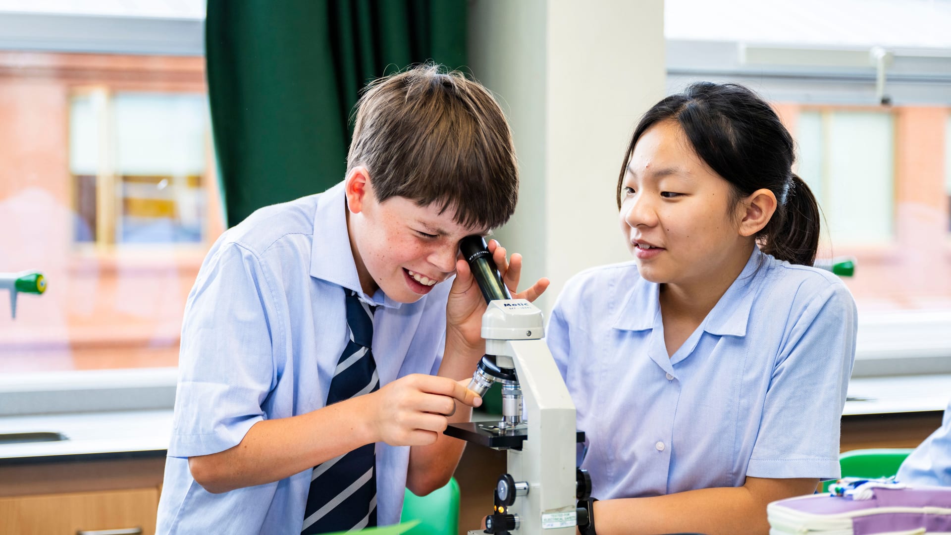 Discover Alleyn's