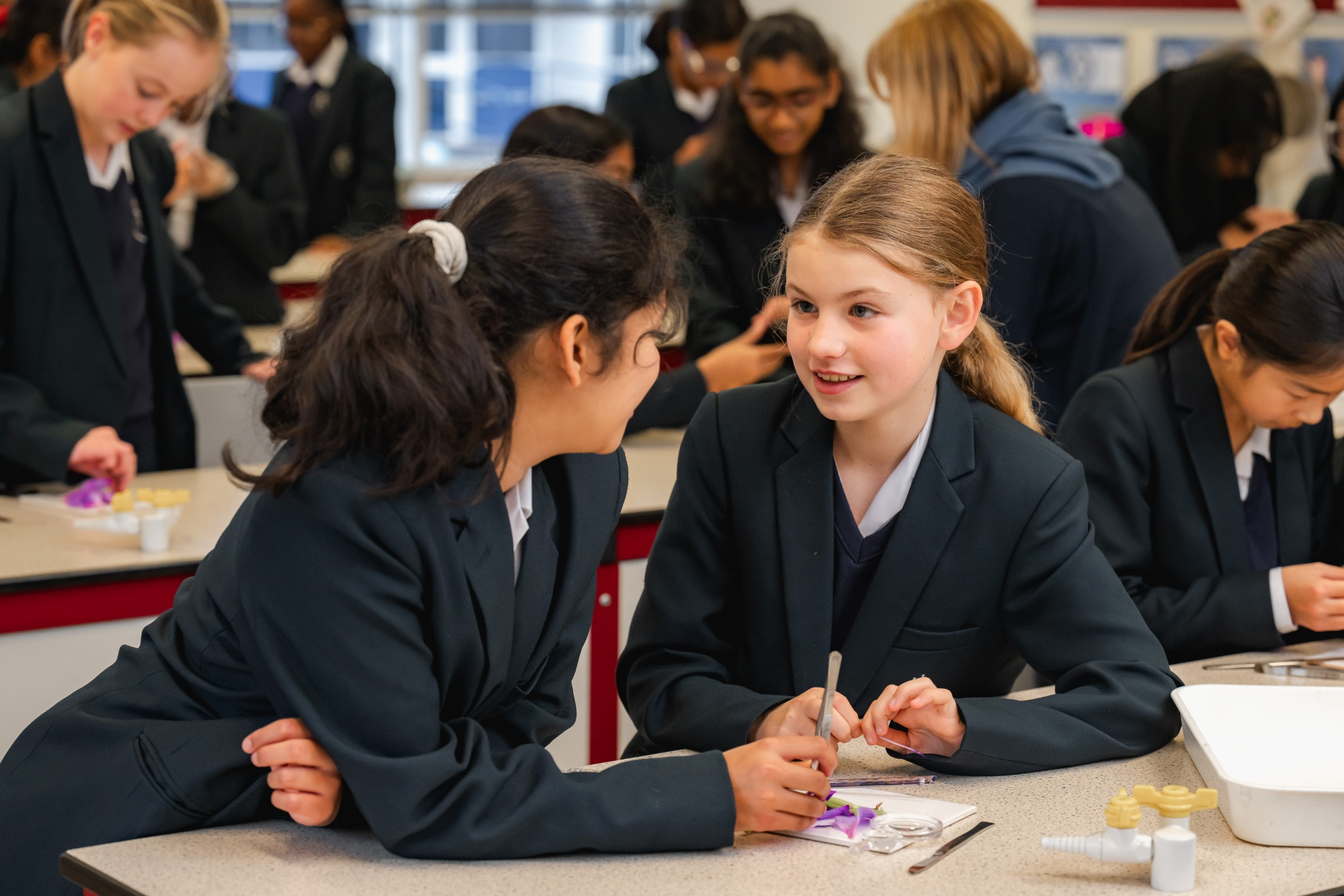 Campus view of Aylesbury High School