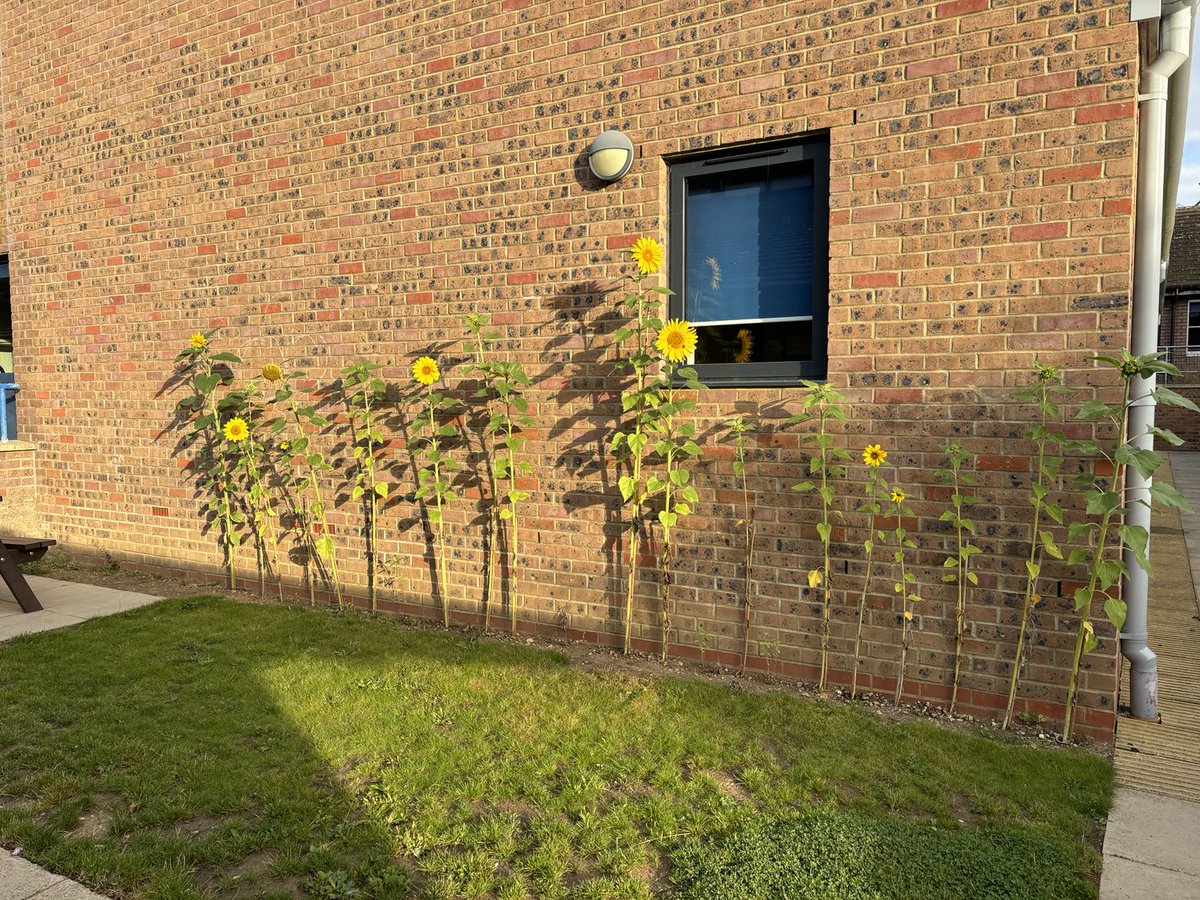 Exterior of Chesham Grammar School