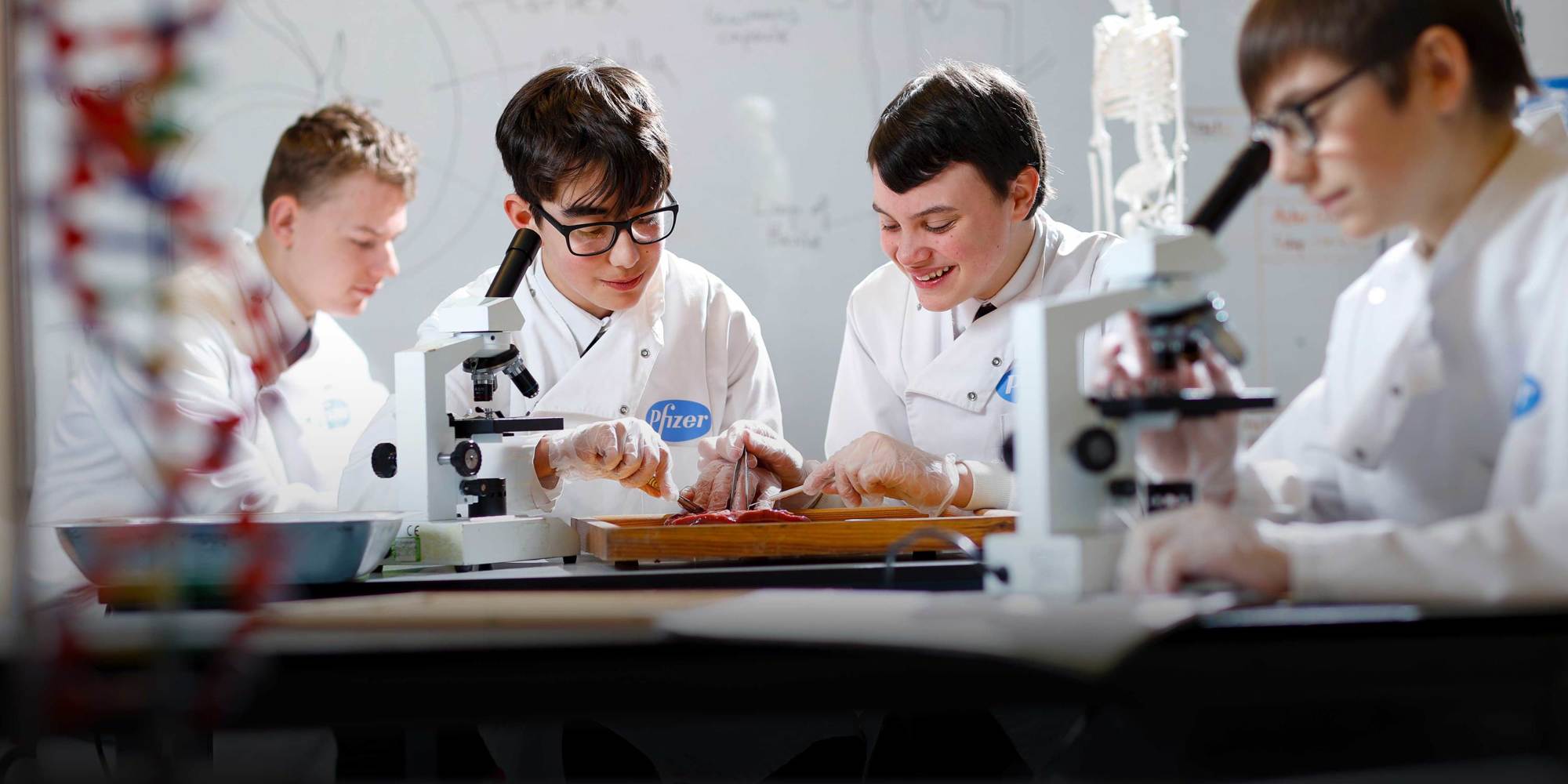 Campus view of Dover Grammar School for Boys