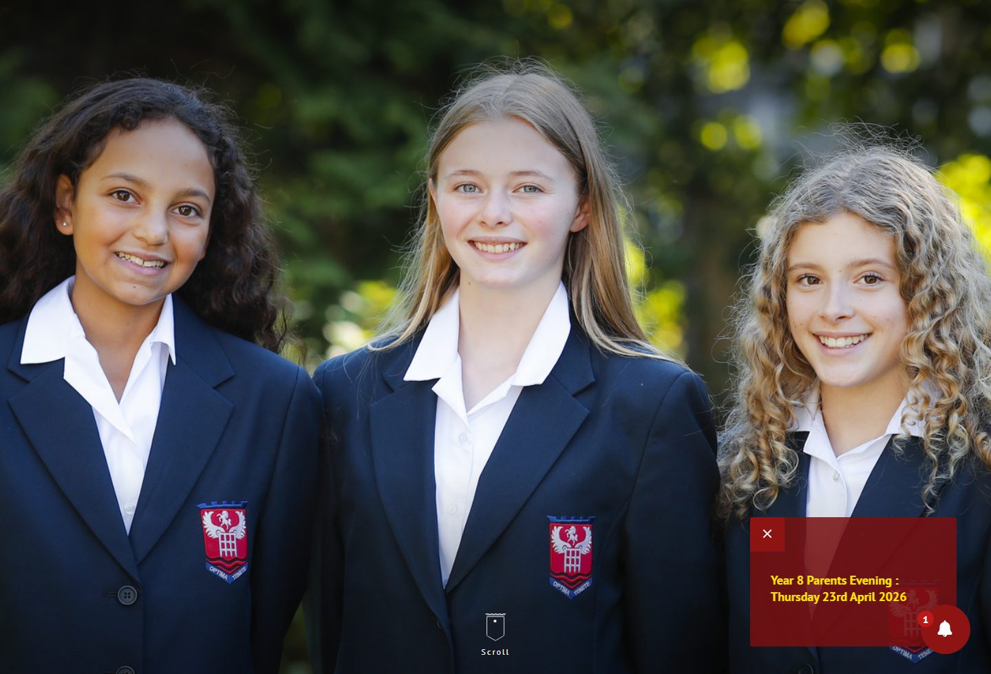 Dover Grammar School for Girls homepage screenshot