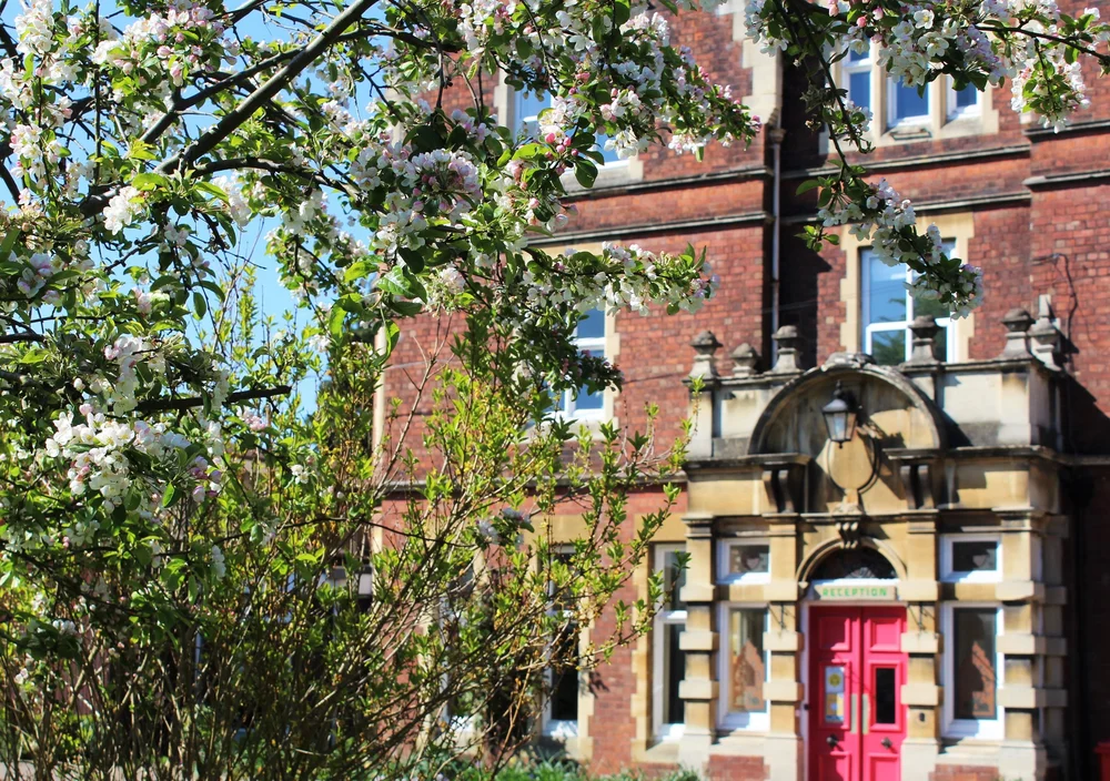 Exterior of Elmfield Rudolf Steiner School Limited