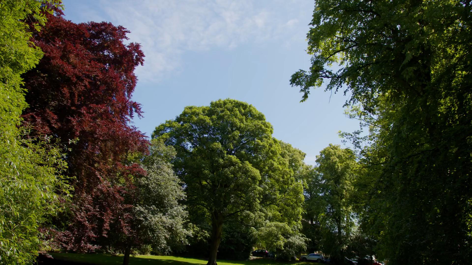 Campus view of Ermysted's Grammar School
