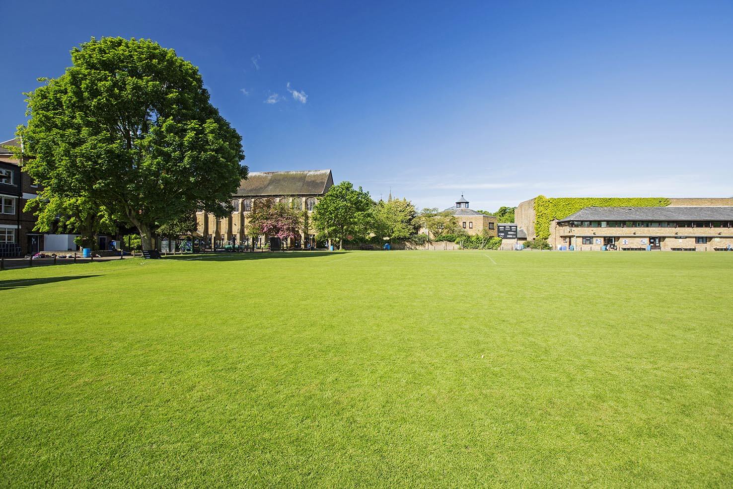 Sports facilities at Forest School