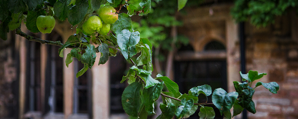 Campus view of The King's School, Grantham
