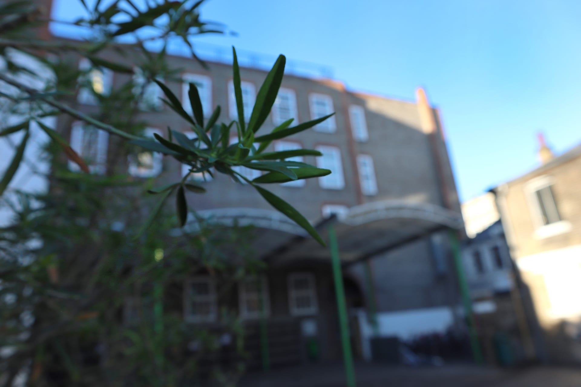 Campus view of Lycee Francais Charles de Gaulle
