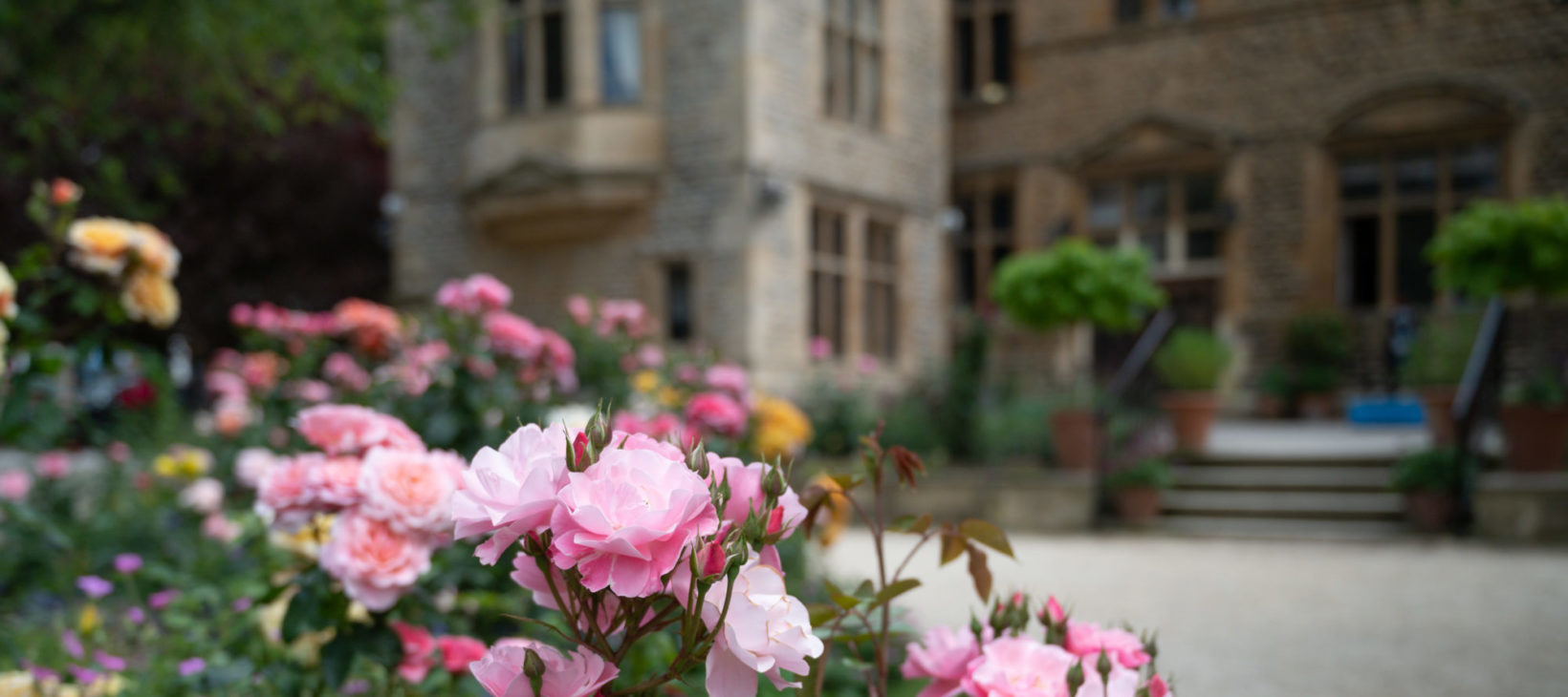 Campus view of Magdalen College School