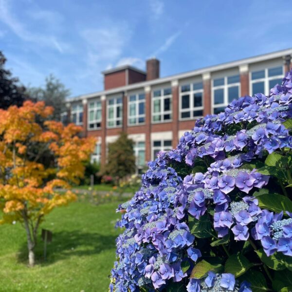 Campus view of Manchester High School for Girls