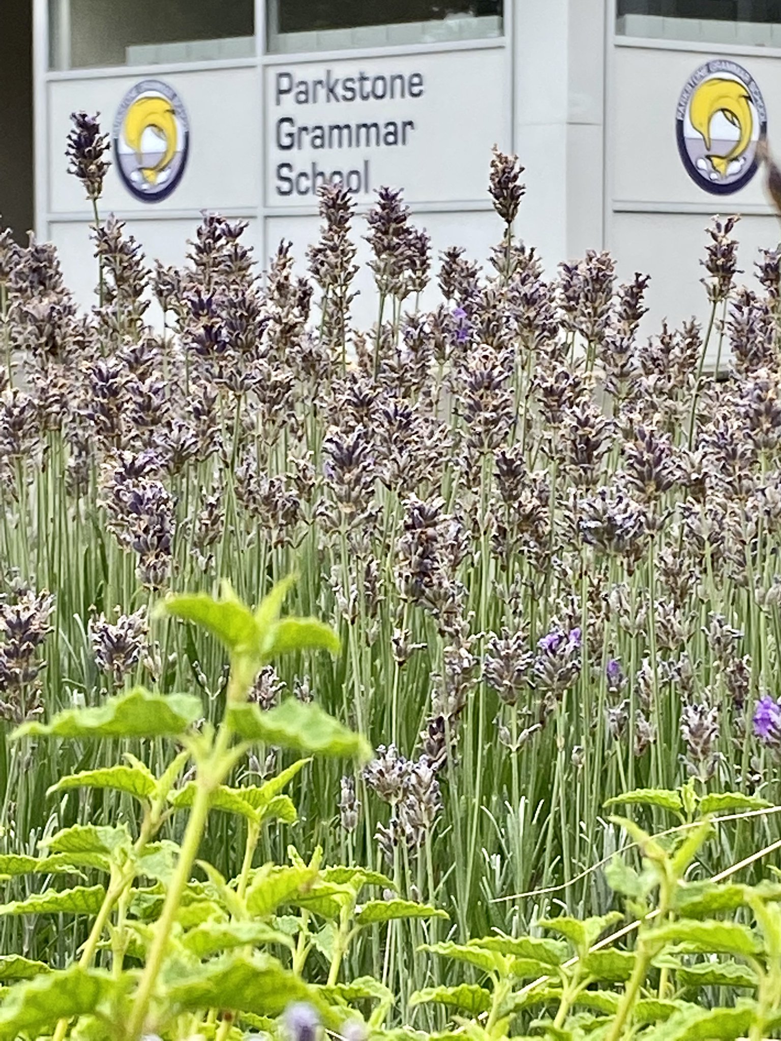 Exterior of Parkstone Grammar School