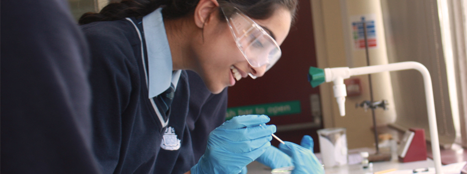 Queen Elizabeth's Grammar Alford - A Selective Academy science lesson
