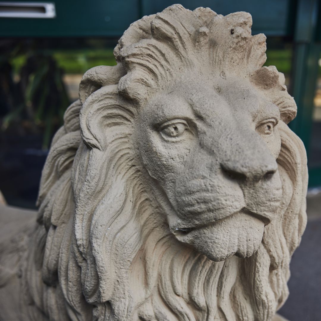 Campus view of Ribston Hall High School