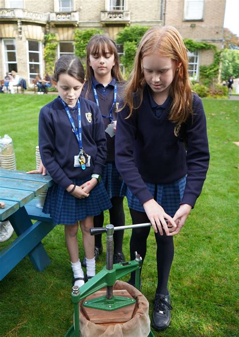 St Mary's School school image