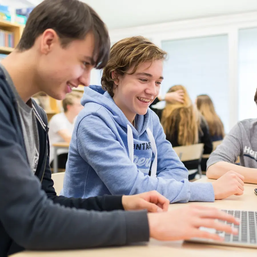 The Swedish School school image