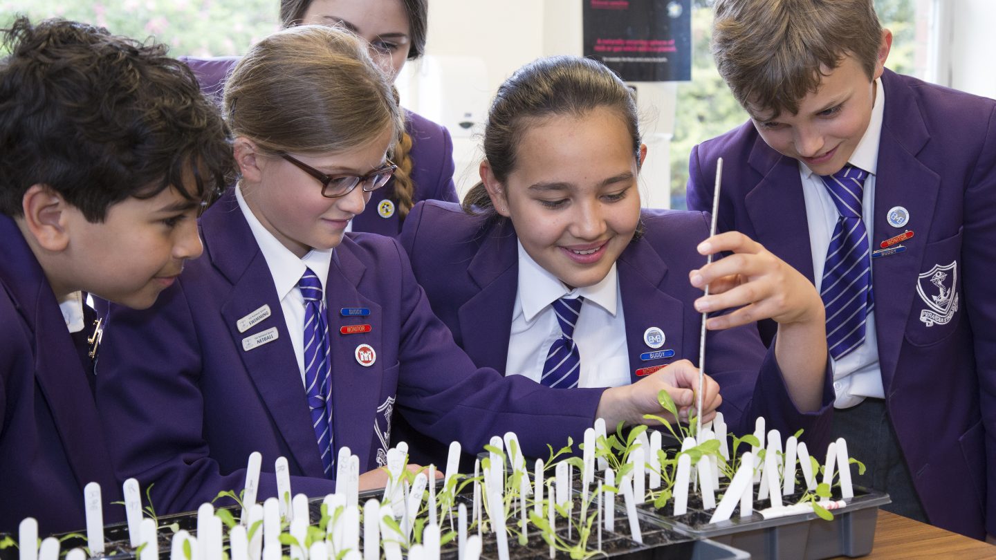 Facilities at Thorpe Hall School