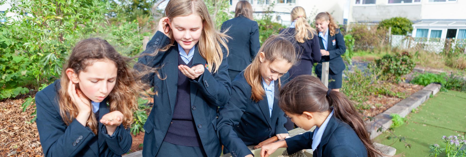 Torquay Girls' Grammar School outdoor learning