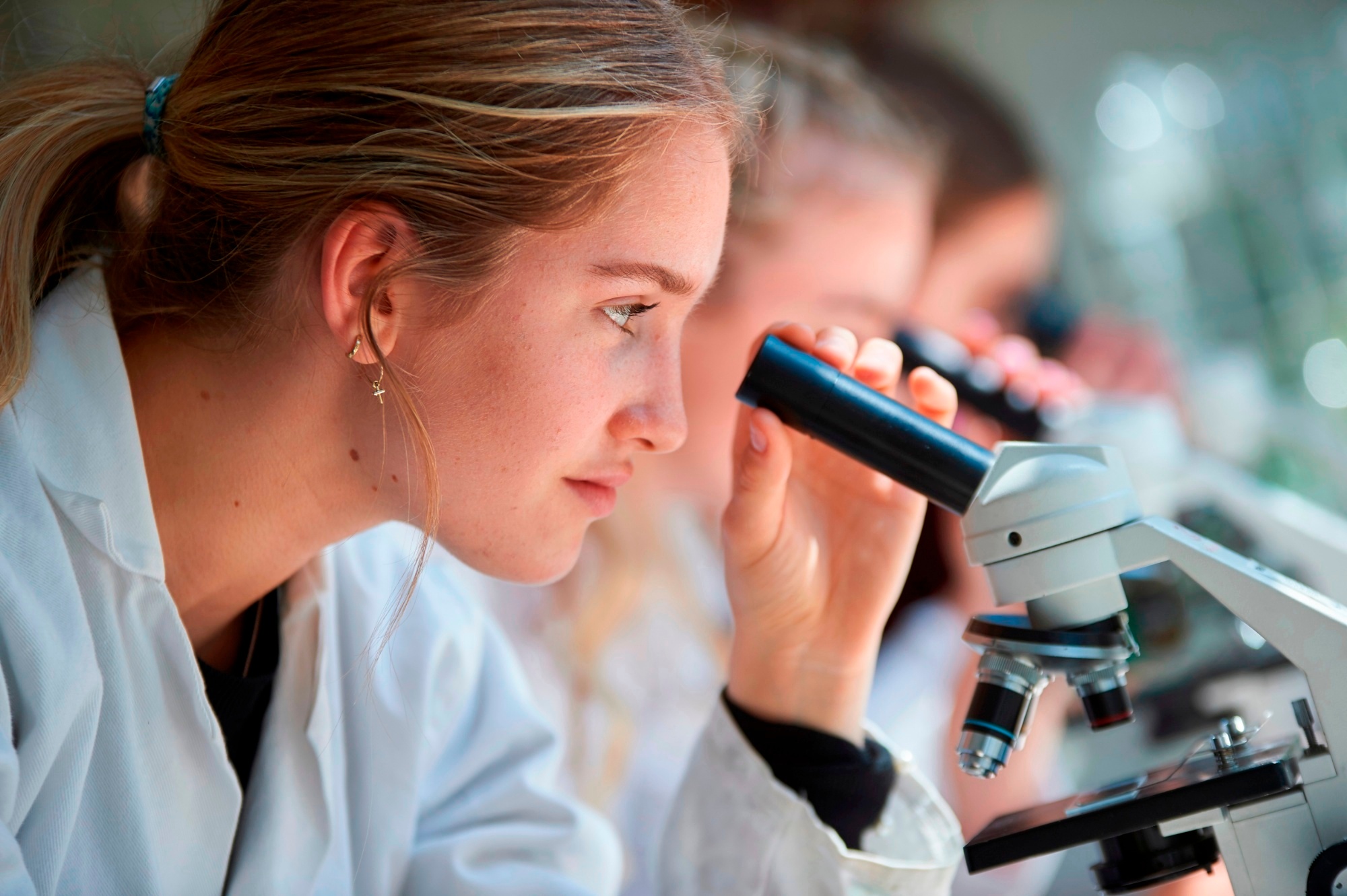 Campus view of Weald of Kent Grammar School