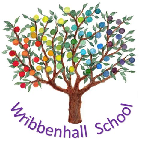 Wribbenhall School school image